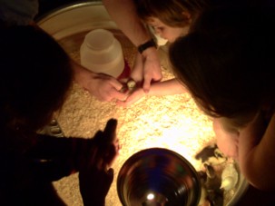 Fun at the Cool Coyotes Party