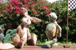 Jack Rabbit & the Desert Tortoise