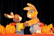 Little Bunny's Halloween