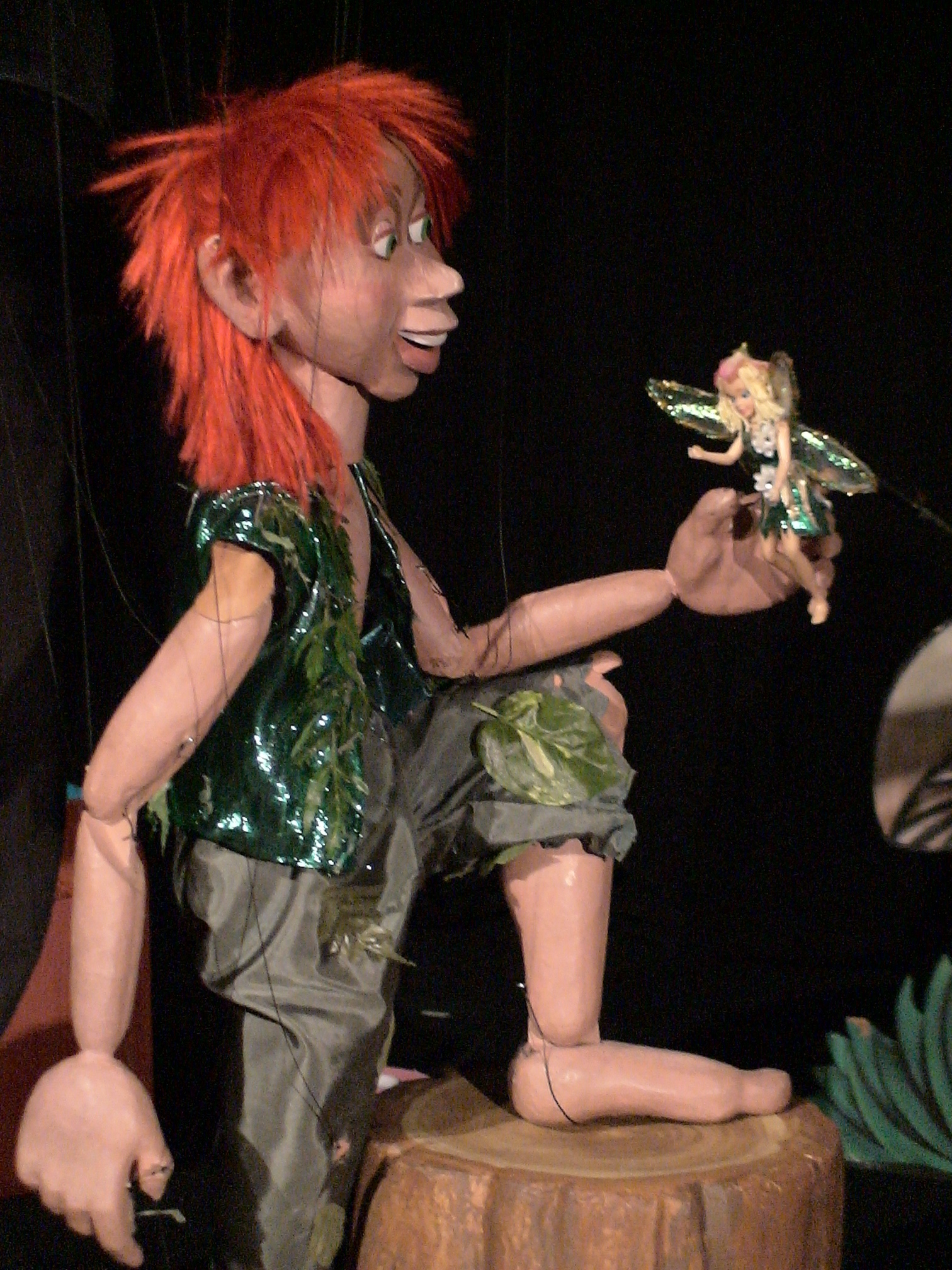 Peter Pan: To Neverland