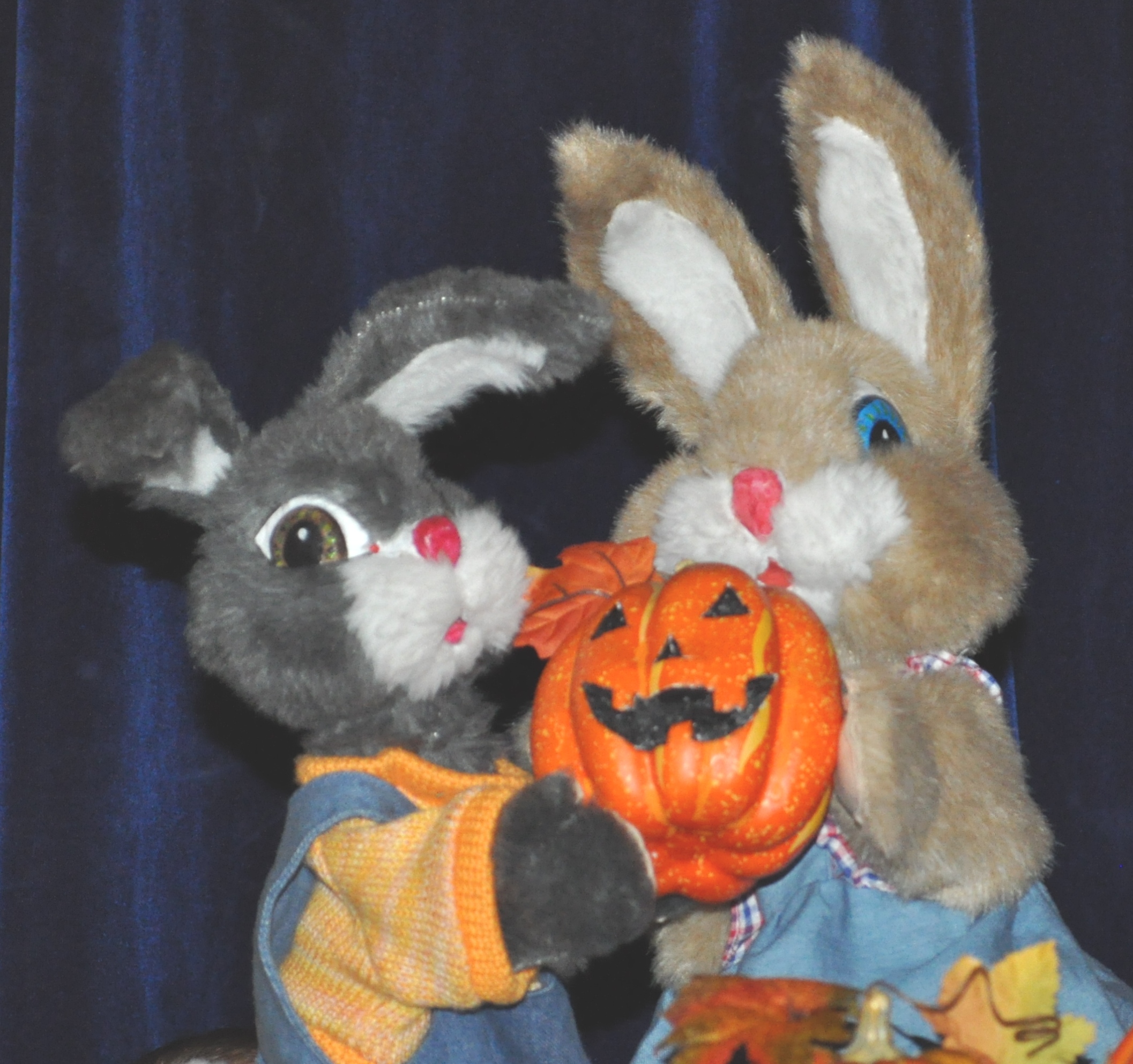 Little Bunny's Halloween