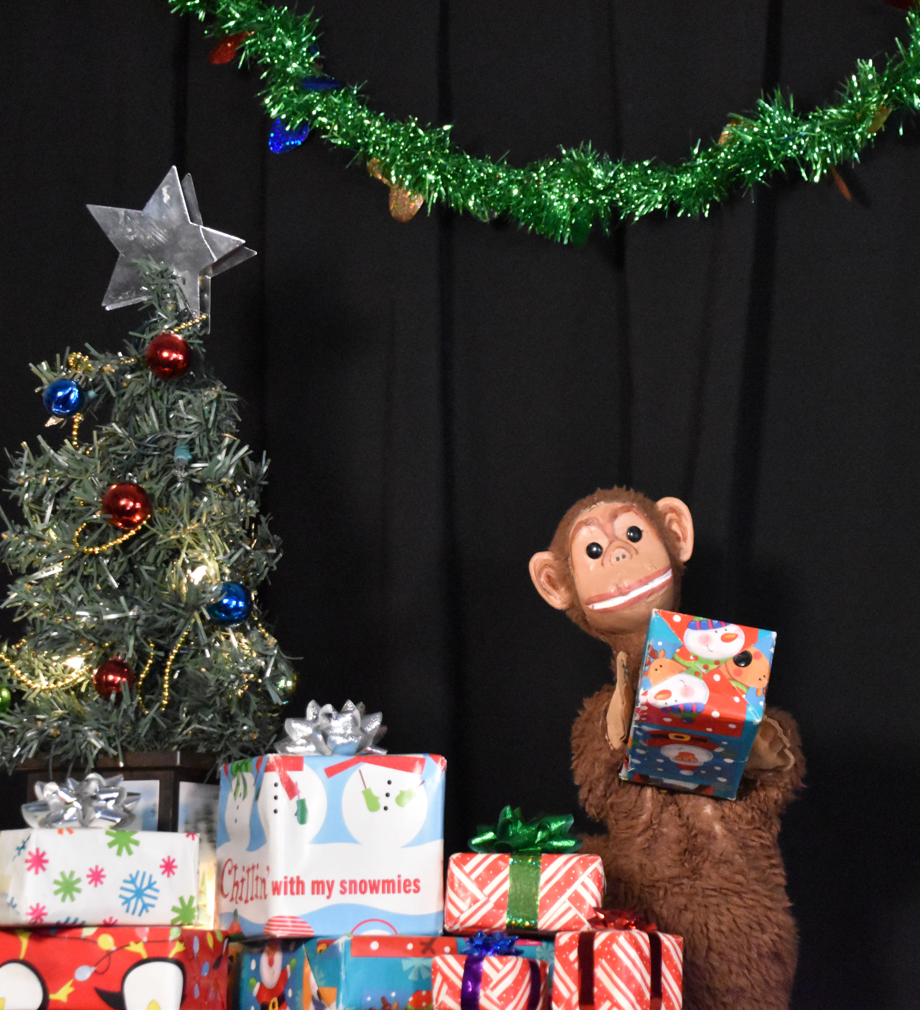 A Monkey Christmas